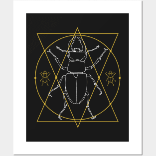 Stag Beetle Insect Geometric Illustration Posters and Art